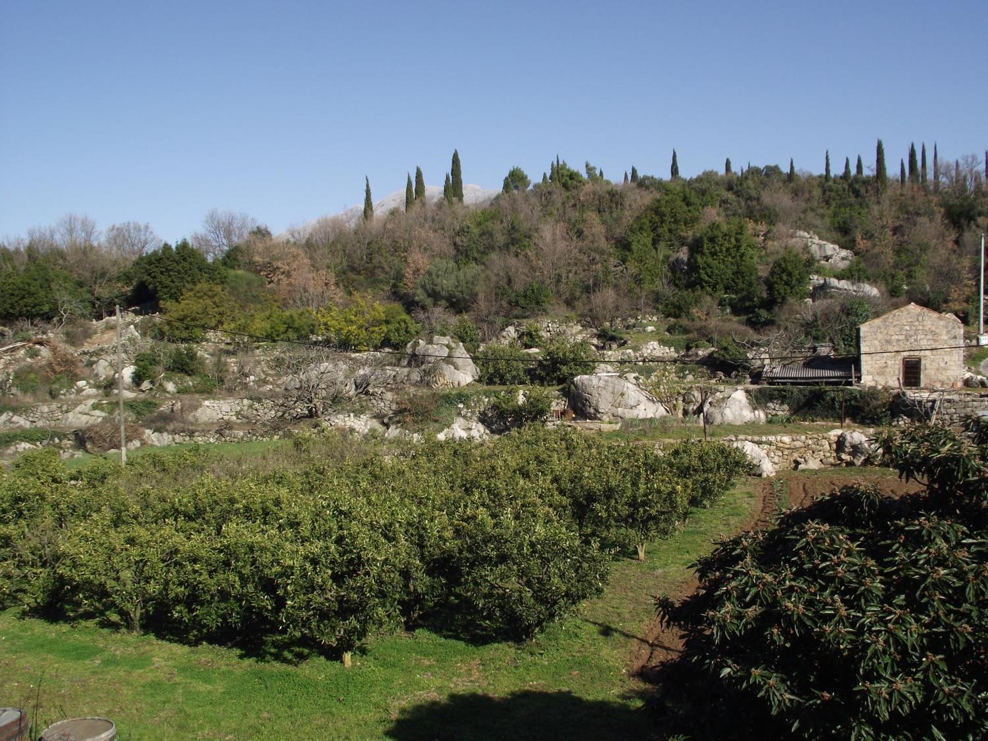 Konavle Apartments Zlatovisce Gruda Buitenkant foto